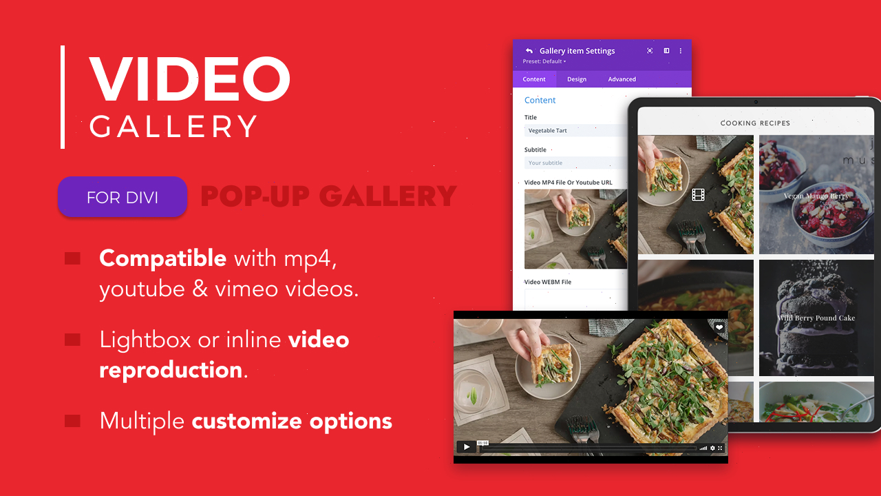 Divi plugins video gallery